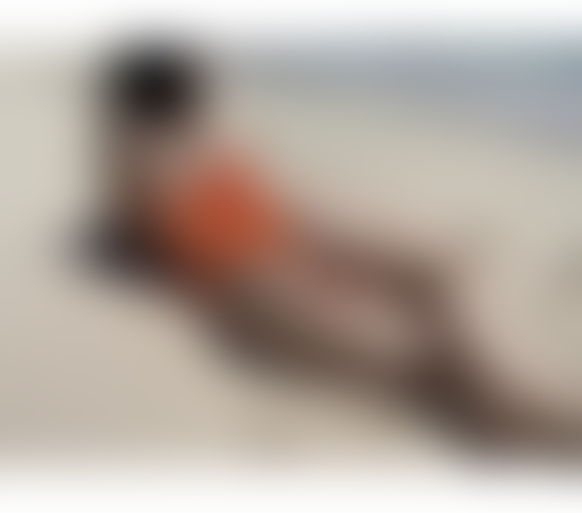 Escorts South West London Kensington - South West London - Photos for NEW BRAZILIAN ELIZA IS IN TOWN⭐